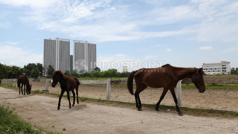 Pacuan Kuda Pulomas akan direnovasi untuk pagelaran Asian Games 2018 di Jakarta.